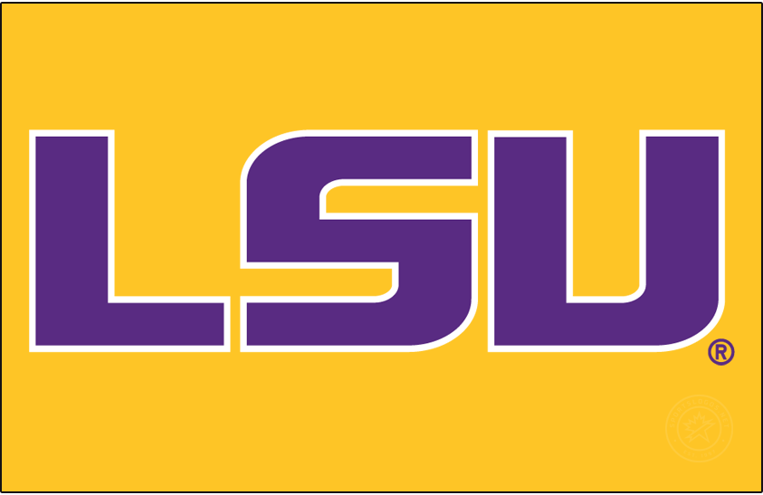 LSU Tigers 2014-Pres Alt on Dark Logo v2 diy iron on heat transfer